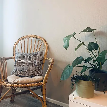 Апартаменты Cozy *